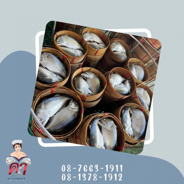 จัดส่งปลาทูทั่วไทย ราคาถูก